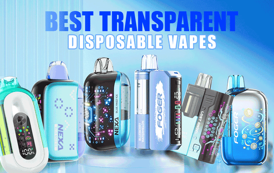 best transparent disposables
