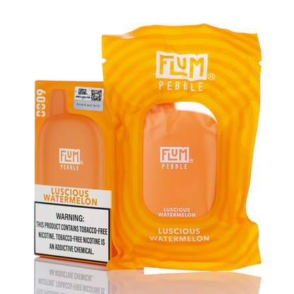 Flum Pebble 6000 Puffs Rechargeable Disposable Vape (Sale)