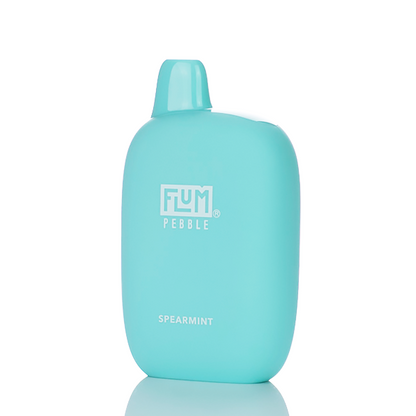 Flum Pebble 6000 Puffs Rechargeable Disposable Vape (Sale)