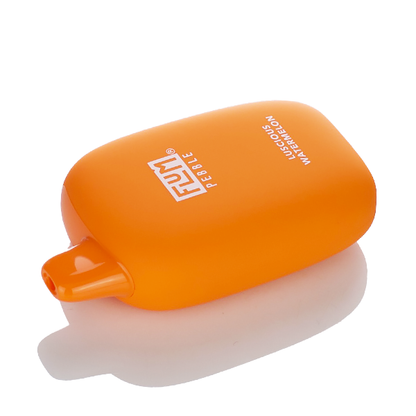 Flum Pebble 6000 Puffs Rechargeable Disposable Vape (Sale)