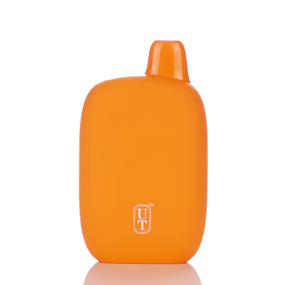 Flum Pebble 6000 Puffs Rechargeable Disposable Vape (Sale)