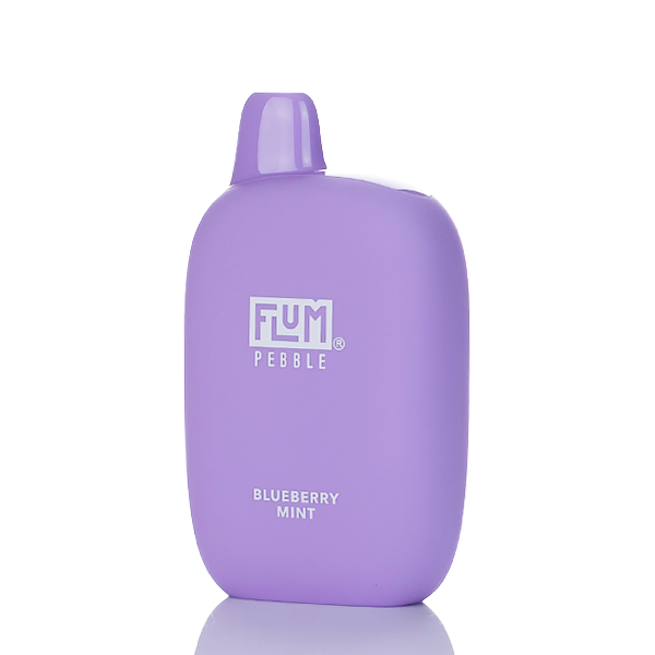 Flum Pebble 6000 Puffs Rechargeable Disposable Vape (Sale)