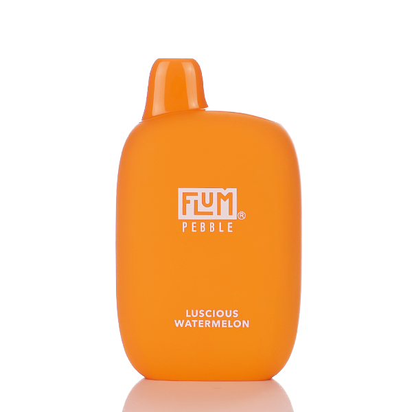 Flum Pebble 6000 Puffs Rechargeable Disposable Vape (Sale)