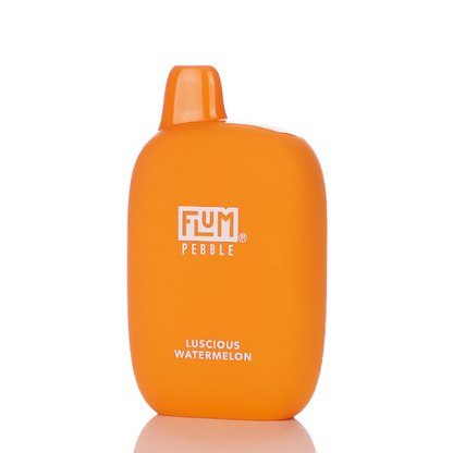 Flum Pebble 6000 Puffs Rechargeable Disposable Vape (Sale)