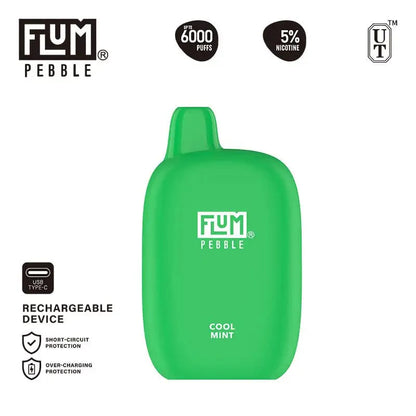Flum Disposable Vape Cool Mint Flum Pebble Disposable Vape (5%, 6000 Puffs)