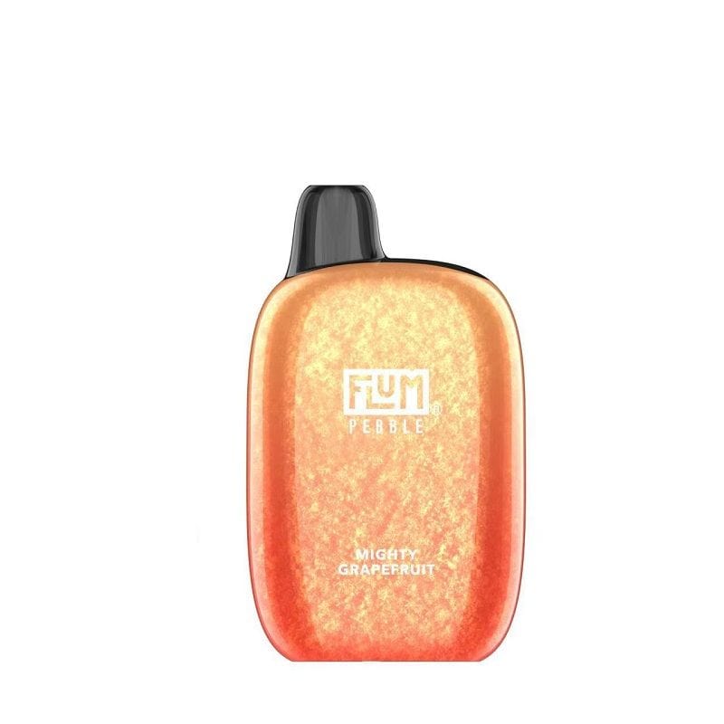 Flum Pebble 6000 Puffs Rechargeable Disposable Vape (Sale)