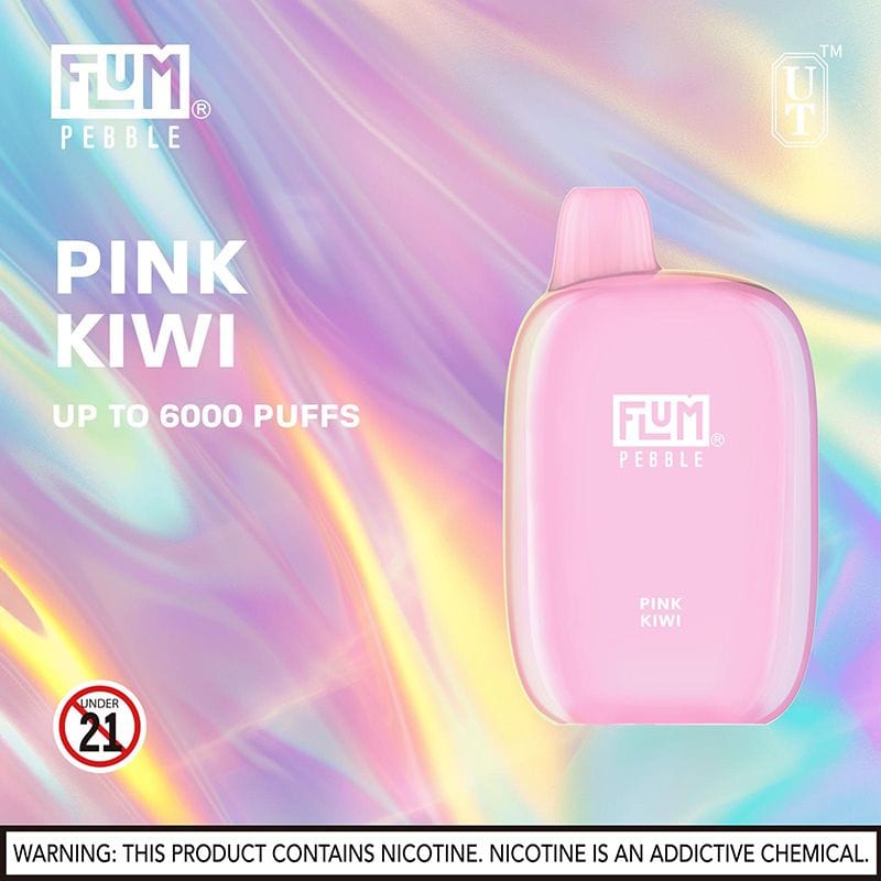 Flum Pebble 6000 Puffs Rechargeable Disposable Vape (Sale)