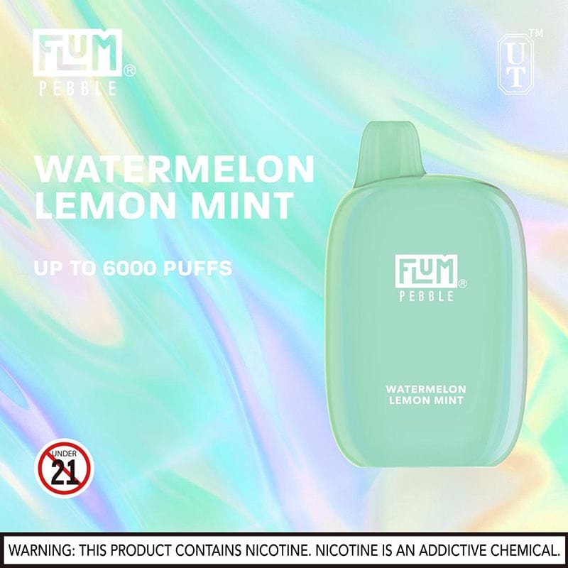 Flum Pebble 6000 Puffs Rechargeable Disposable Vape (Sale)