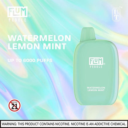 Flum Pebble 6000 Puffs Rechargeable Disposable Vape (Sale)
