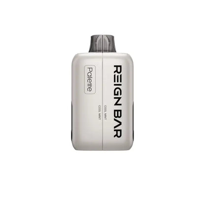 REIGN BAR Disposable Vape Cool Mint REIGN BAR Palette 50K Disposable Vape (5%, 50000 Puffs)
