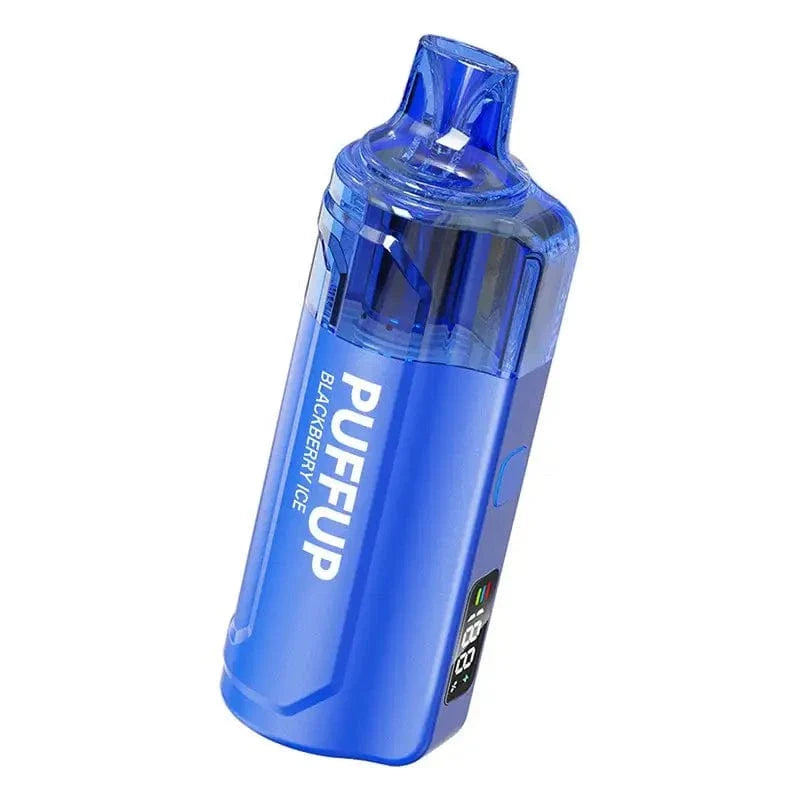 VAPGO Disposable Vape Blackberry Ice Vapgo PUFFUP vilso NIX 25K Disposable Vape (5%, 25000 Puffs)