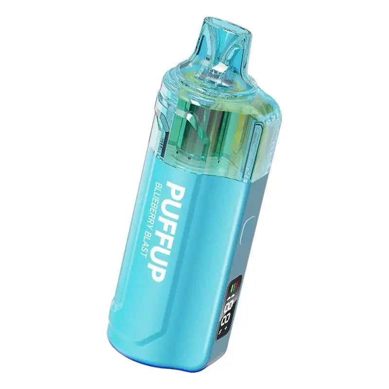 VAPGO Disposable Vape Blueberry Blast Vapgo PUFFUP vilso NIX 25K Disposable Vape (5%, 25000 Puffs)